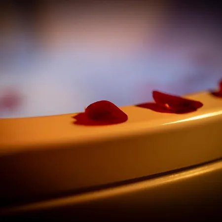 L'interdit A Sensual And Intimate Love Ruan